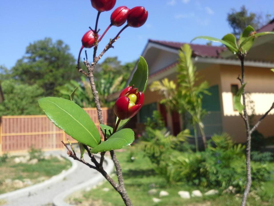 Villa De Mama Rawai Szoba fotó
